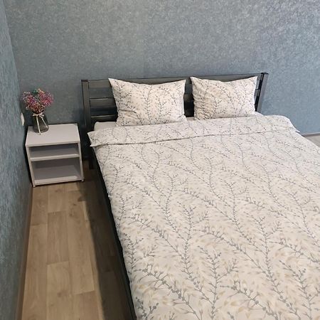 Две Уютные Квартиры В Центре Города Дзержинка - New Apartments Krivoy Rog Luaran gambar